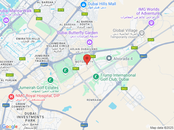 Google Map