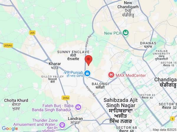 Google Map