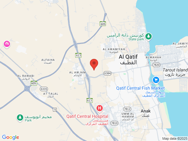 Google Map